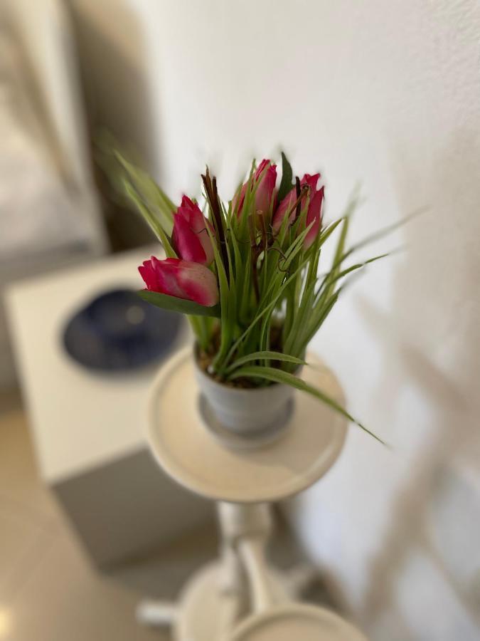 Studio Apartment Klaric Vis Esterno foto